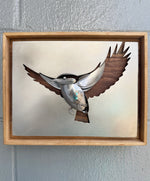 "In Flight"