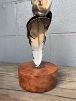 Hawk Heritage