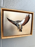 "In Flight"