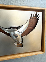 "In Flight"