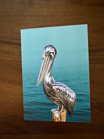 Airtight Artwork Greeting Cards