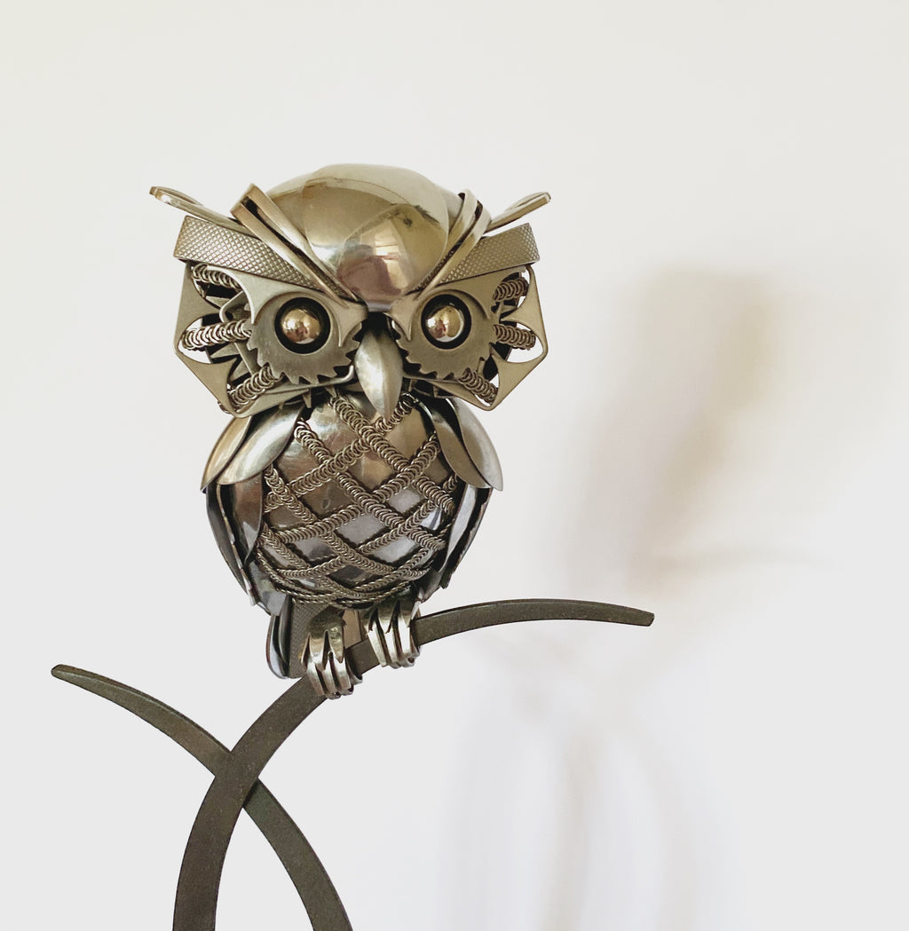 Winston the Owl
