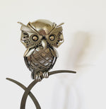 Winston the Owl