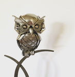Winston the Owl