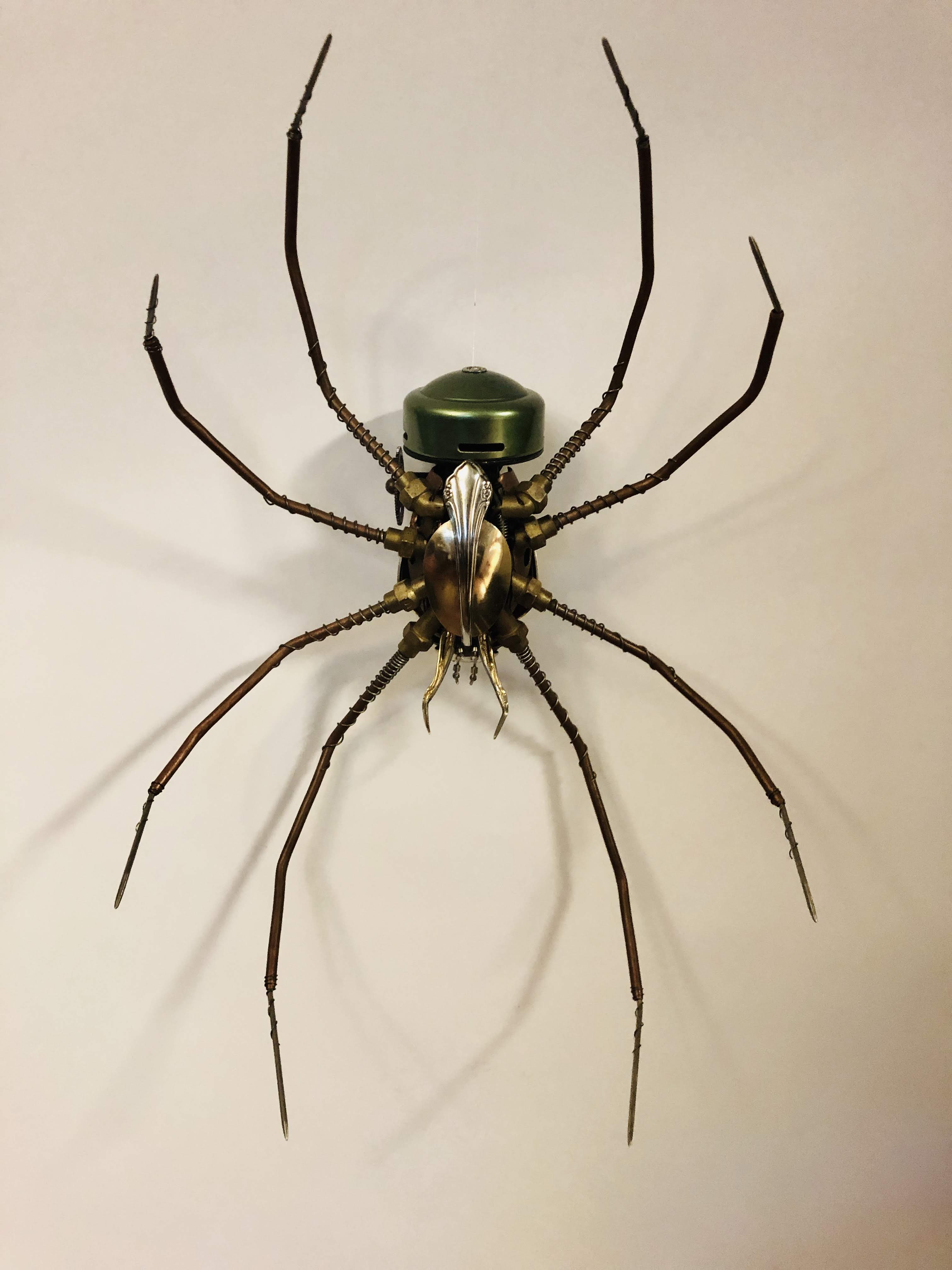 Johnson Century Spider (Sold Out)